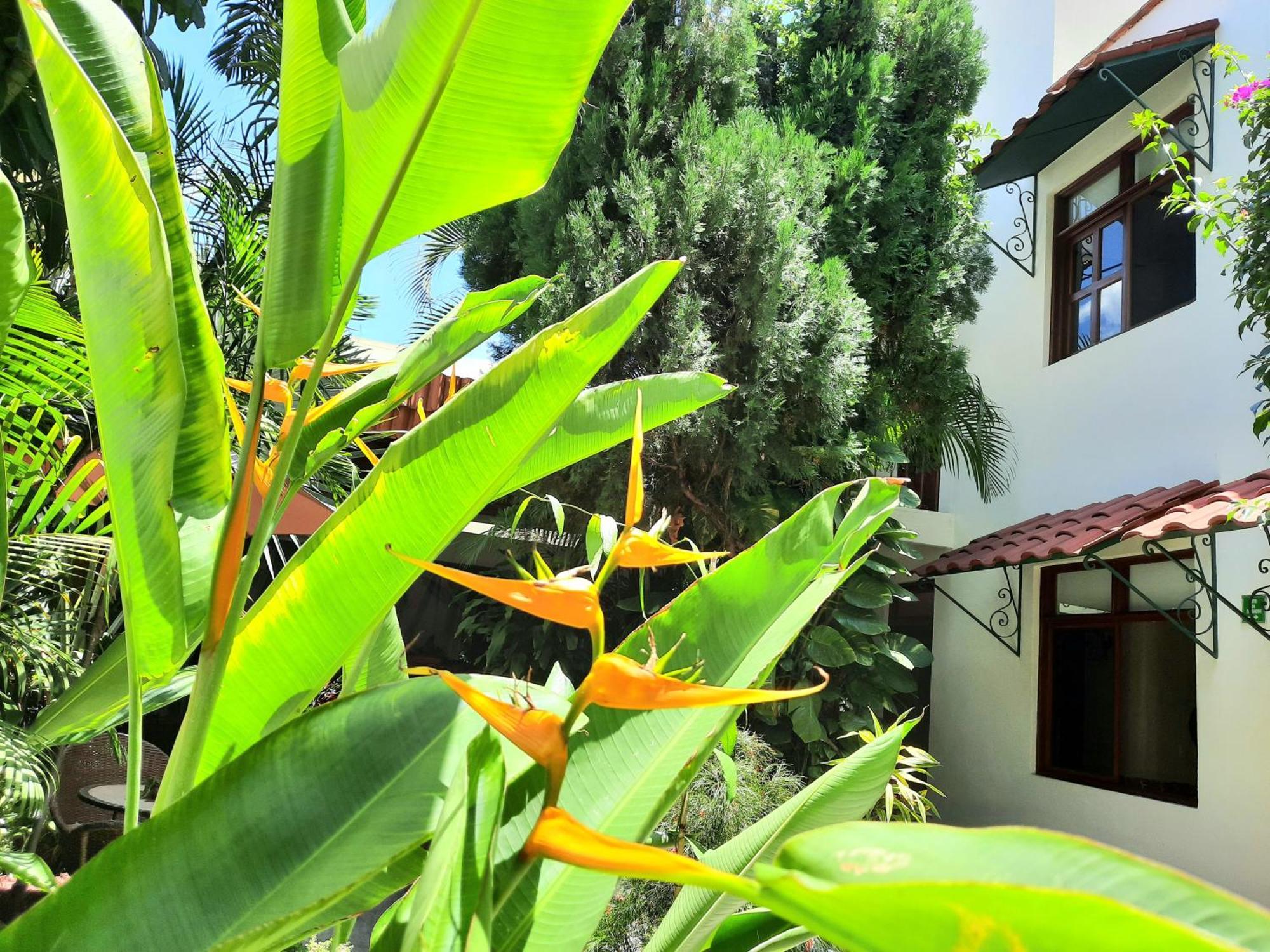 Casa Los Cantaros Hotel Boutique Oaxaca Buitenkant foto