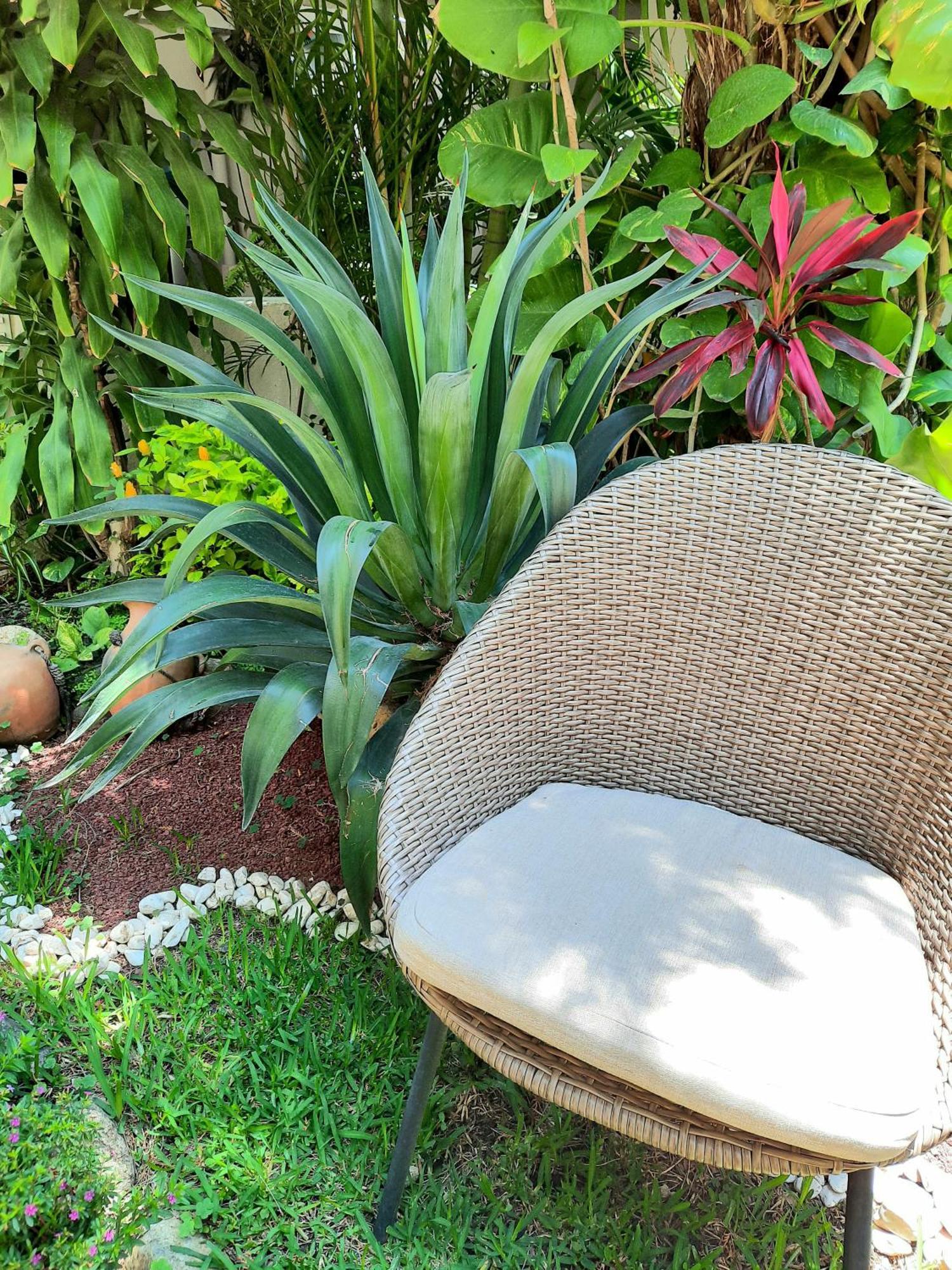 Casa Los Cantaros Hotel Boutique Oaxaca Buitenkant foto